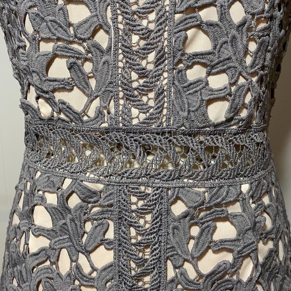 Beautiful Alya Taupe Lace Fitted Sleeveless Sheath Dress  Size L Gray - Picture 5 of 8